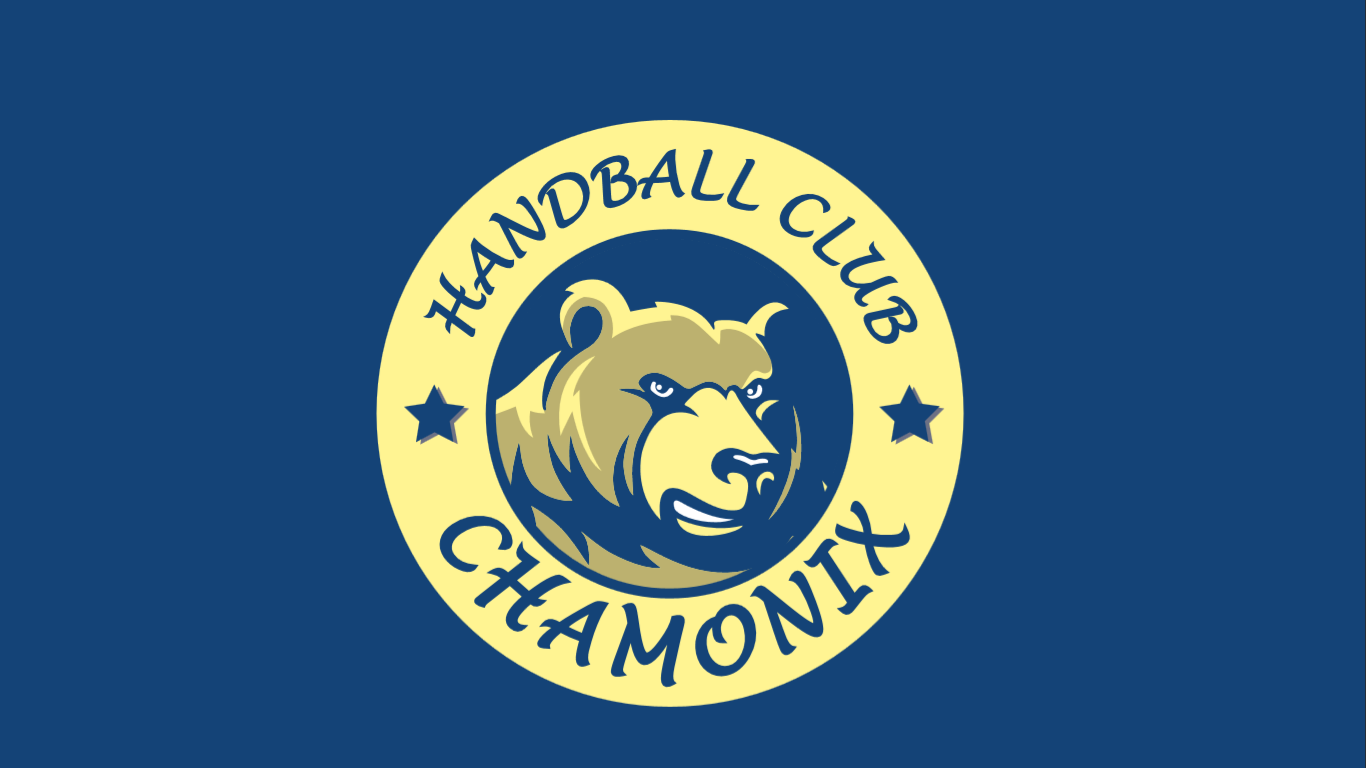 Section HANDBALL logo