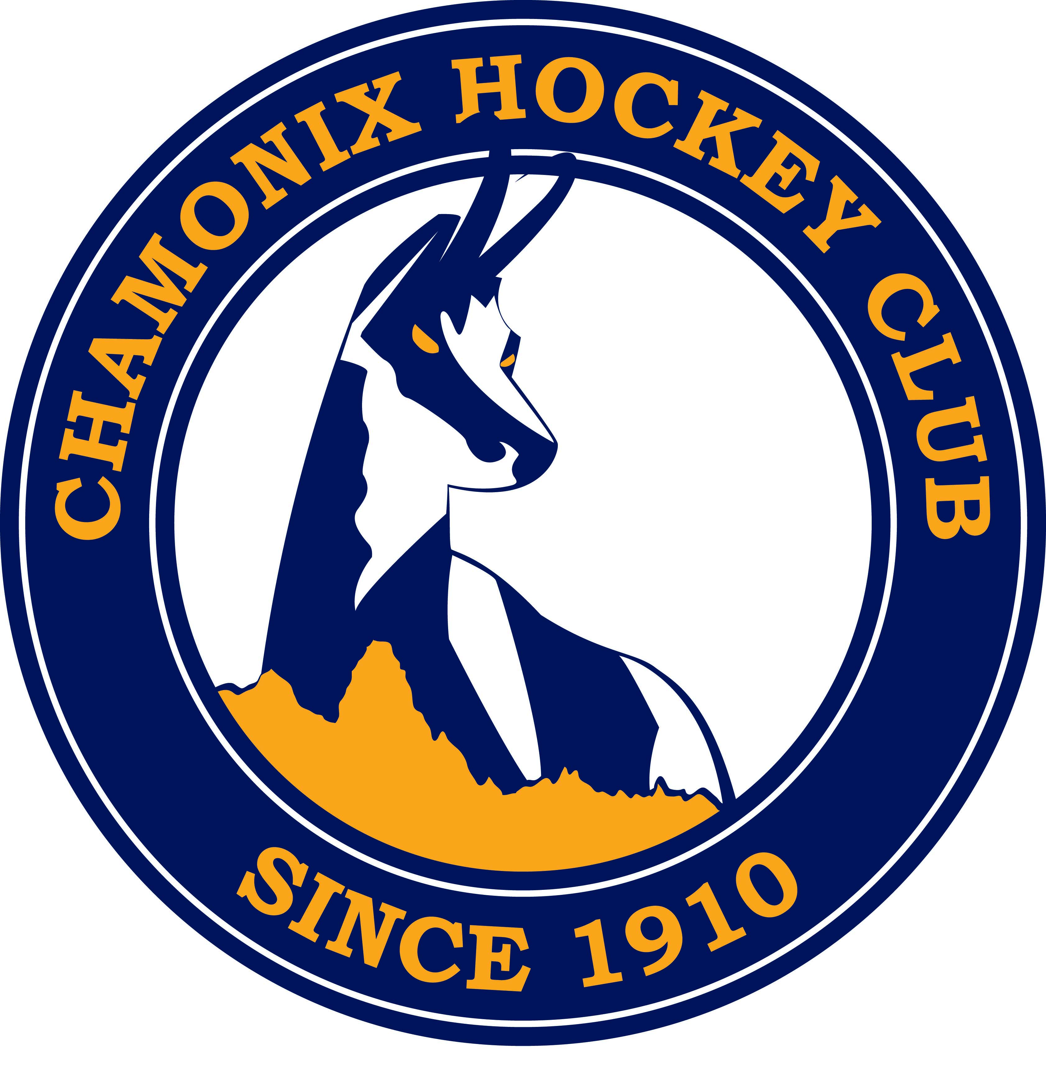 Section ICE HOCKEY - YOUTH logo