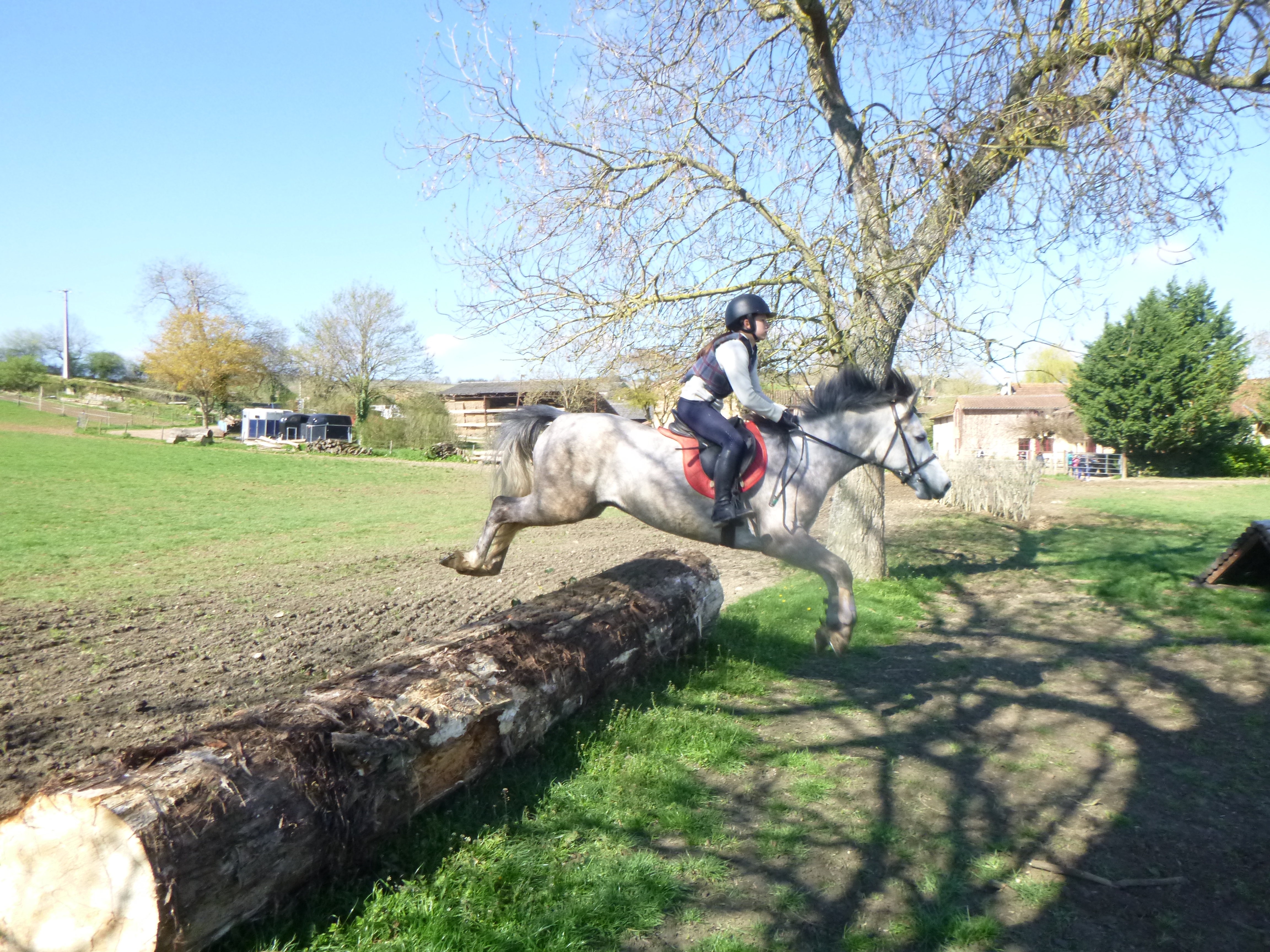 Our riders on internship in Laizé