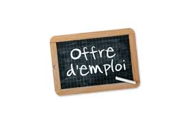 Offre d'emploi : Assistant(e) chef de projet