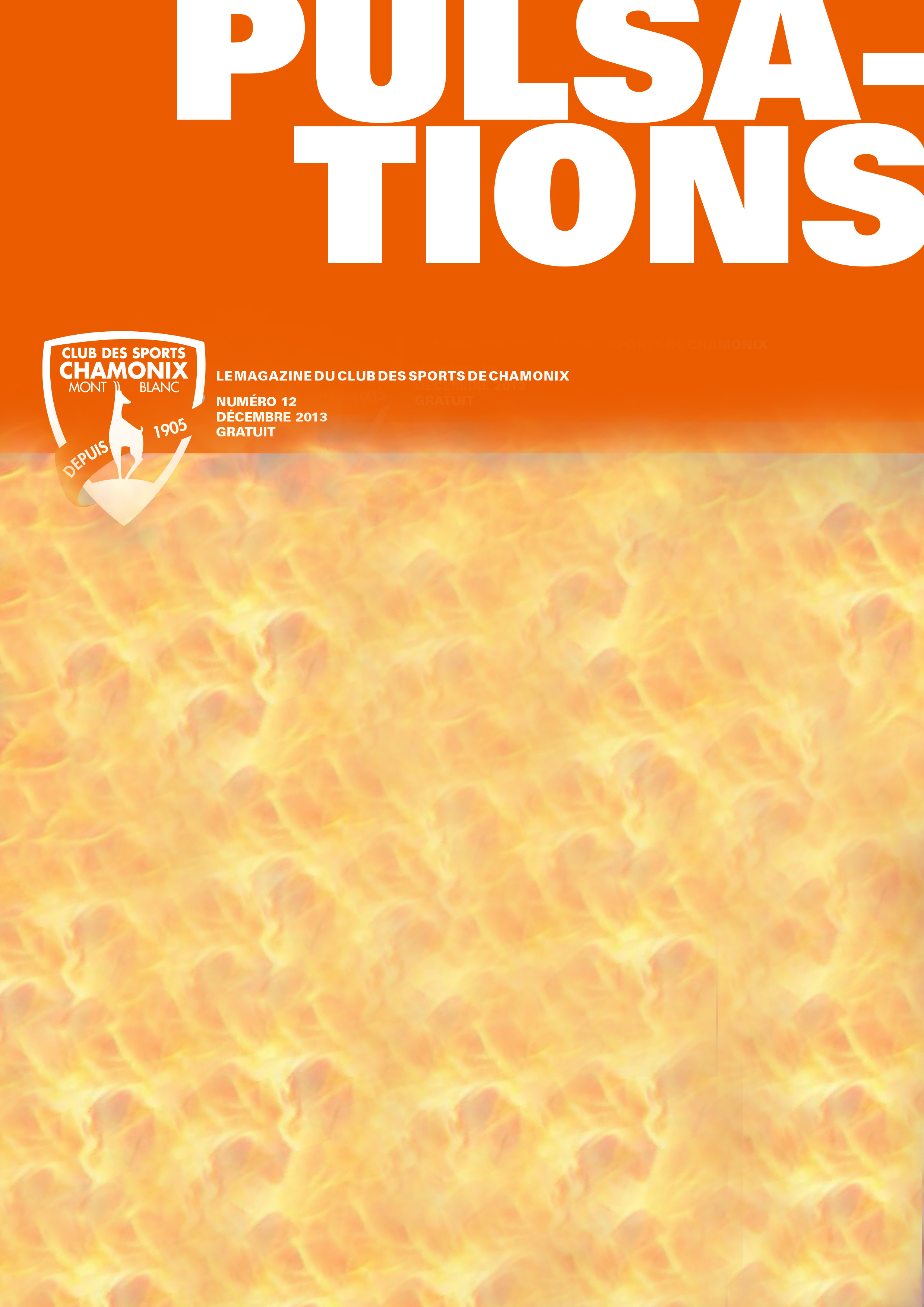 PULSATIONS MAGAZINE #12
